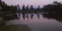 Pond at Spier wine Farm. Dusk.