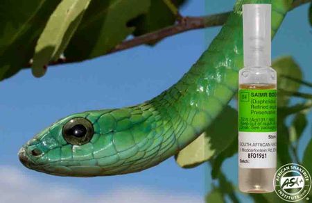 Frantic hunt for snake antivenom after man is bitten by cobra in Western Cape