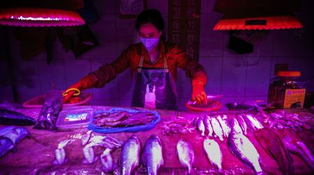 The Covid-19 pandemic is a stark warning about the international wildlife trade, and China’s role in it