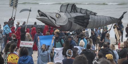 The Ozzies are coming: Activists gear up for the next seismic survey battle - in Western Cape waters