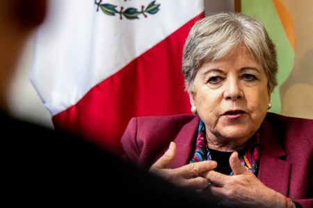 ‘Pragmatic’ Trump knows US needs Mexico, foreign minister says
