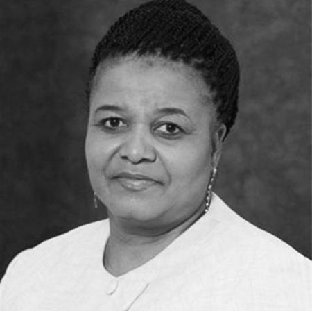 Court challenge to Mpumalanga coal mine