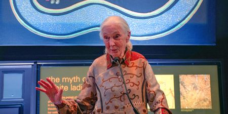 Jane Goodall: 'I had to give up what I love best’ at Gombe to inspire biodiversity conservation