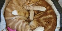 [sisterley love]. Photographer: [Lynne Mackie]. 
