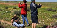 Visitors to the Hantam National Botanical Gardens in Nieuwoudtville enjoying the blooms. (Photograph: Chris Marais)