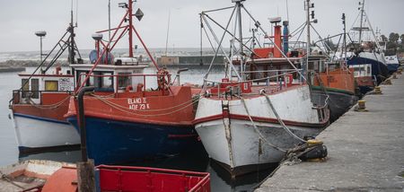 Lambert’s Bay - a divided Western Cape town in the midst of a crucial by-election