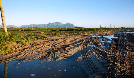 GroundUp: Cape Town’s food basket faces uncertain future