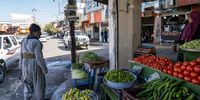 The vegetable and fruit market run by Media (36). Most of the stock comes from Iran. (Photo: Susan Schulman)
