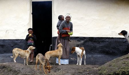 Analysis: The state of municipal capacity