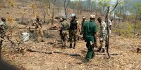Park rangers in Michiru Forest Reserve. (Photo: C Ausward Bonongwe)