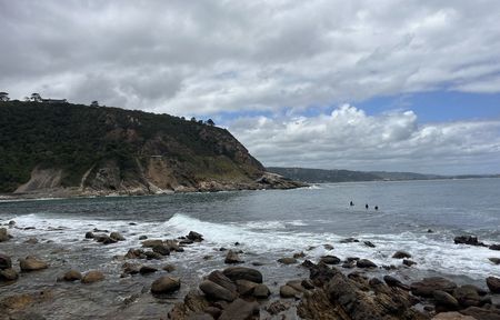 State of our beaches; surprising success of grade repetition in SA schools; and Knysna’s last elephant