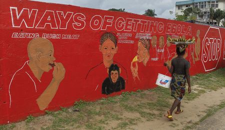 Africa Check: 2014 in review – Ebola, Boko Haram, elections and dodgy data