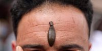 A leech sucks blood from a person's forehead during a leech therapy session on a roadside in Srinagar, Jammu and Kashmir, India, 21 March 2023. The therapy is used to heal pain and other skin ailments and has been used for centuries in traditional medicine. Leeches are primarily used as a legitimate treatment that can help heal skin grafts and restore blood circulation. During the therapy, the leeches are placed on the patient's skin, where they suck blood and release saliva, which contains anticoagulants and other therapeutic compounds.  EPA-EFE/FAROOQ KHAN