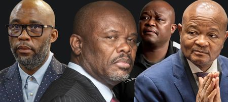 Witness C details ‘Cat’ Matlala’s claims to have bribed minister, top cops