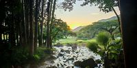 The sun rises for the Sun City inaugural Parkrun. Photographer: Graeme Adamson</p>
<p>P4U_readersubmission_20250502