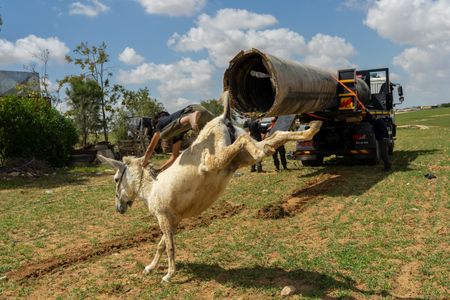 A Bedouin boy rides a donkey in Al-Fura, and more from around the world