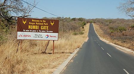 Kruger insiders convicted of rhino poaching in landmark Skukuza case