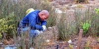  A police officer comes across  a knife that was planted  in the ground during the search for Joslin Smith in the Middelpos Forest on March 04, 2024 in Saldanha, South Africa. The Grade 1 Diazville Primary School learner was last seen on February 19th wearing a light blue T-shirt and light blue denim shorts. (Photo: Gallo Images / Die Burger / Theo Jeptha)