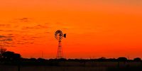 Kameeldrif outside Kimberley. October 2022. Photographer: Johnny Wild
