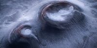 Sony-Shortlists Announced
