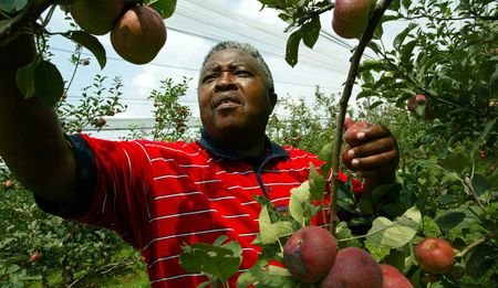 Ministers and Acronyms: The ANC on rural development and land reform