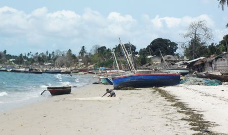 Mozambique jihadists ‘capture strategic port in major victory’