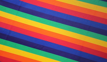 The LGBTI Sector Parliament: Small, but good step