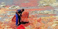 ILLUSTRATIVE IMAGE: The occurrence of deadly red tides in Algoa Bay, Eastern Cape is predicted to increase due to climate change with a significant impact on marine life.<br>(Photo: Deon Ferreira)