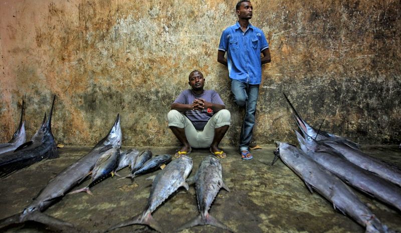 Somalia: Will decimated fish stocks force desperate fishers into piracy ...