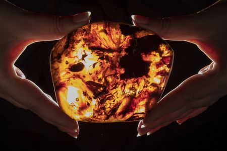 Amber from Ecuador reveals insects from the age of dinosaurs