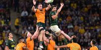 Izack Rodda (centre-left) of the Wallabies wins the line out from Eben Etzebeth (C-R) of the Springboks during the Round 4 Rugby Championship match between the Australian Wallabies and the South Africa Springboks at Suncorp Stadium in Brisbane, Australia, 18 September 2021. (Photo: EPA-EFE/DARREN ENGLAND)