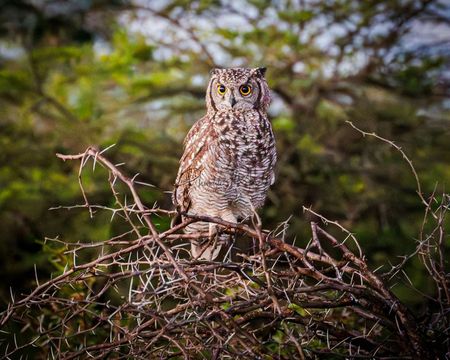 I have a picture for you! 7 March-13 March 2026