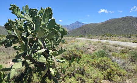 Seweweekspoort — the majestic pass that winds its way into the traveller’s heart