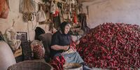 An elderly woman prepares threads of red paprika in Donja Lokosnica, Serbia. In this village in a valley in South Morava, some 250 of the 280 households are involved in the growing of pepper – although depopulation means this number is in decline. Around 500 tons of ground pepper is produced in a 250-hectare area.© Vladimir Zivojinovic, Serbia, Winner, National Awards, 2021 Sony World Photography Awards