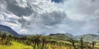A Storm Brewing. Photographer: Mary-Ann Hartley