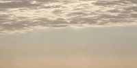 Heron, sentinel at dawn. 2021.11.03  Durban, North Beach.<br>