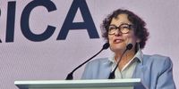 IEC vice chairperson Janet Love. (Photo: Richard Stupart)