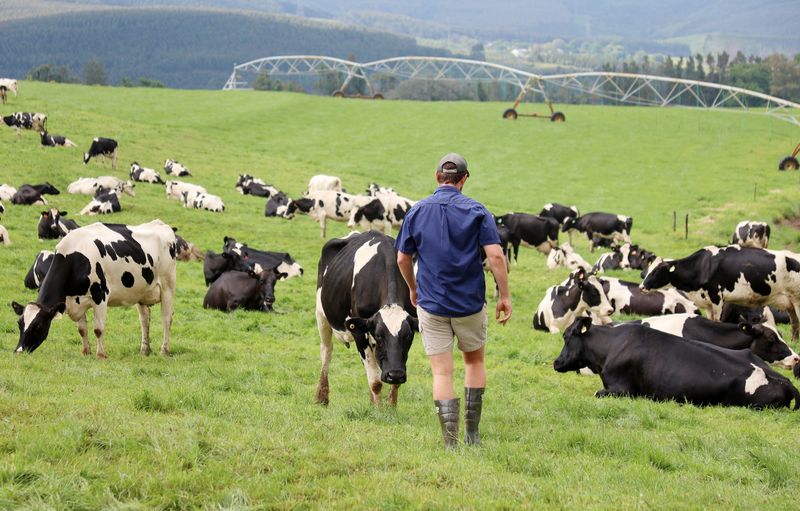 Fears mount that provincial budget allocations are insufficient to combat foot-and-mouth disease outbreak
