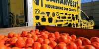 Daniélle Food waste regulation