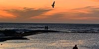 Sunset Seagull photobomb at Camps Bay Tidal Pool. Photographer: Chris von Ulmenstein 