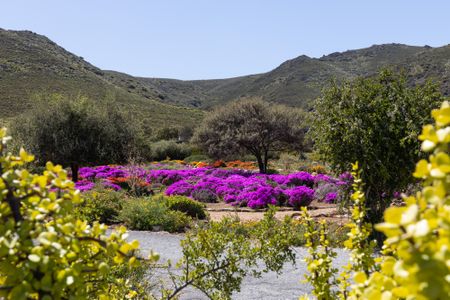 Touch of nature — Braille trail launched at Worcester botanical gardens