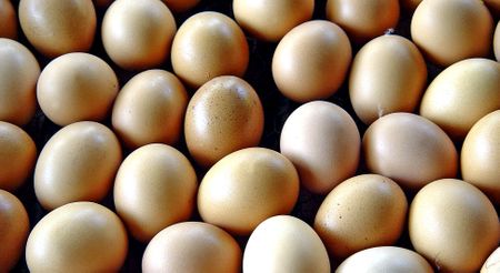 Cato Ridge business association hatches a plan for KZN egg farmers