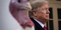WASHINGTON, DC - NOVEMBER 26: U.S. President Donald Trump stands next to Butter, the National Thanksgiving Turkey, after giving him a presidential pardon during the traditional event in the Rose Garden of the White House November 26, 2019 in Washington, DC. The turkey pardon was made official in 1989 under former President George H.W. Bush, who was continuing an informal tradition started by President Harry Truman in 1947. Following the presidential pardon, the 47-pound turkey which was raised by farmer Wellie Jackson of Clinton, North Carolina, will reside at his new home, 'Gobbler's Rest,' at Virginia Tech. (Photo by Drew Angerer/Getty Images)