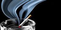 SARS loses an estimated R8-billion annually due to the illicit trade of tobacco. (Photo: greaterkashmir.com / Wikipedia)