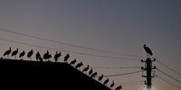 PhotoEssay-InPictures30