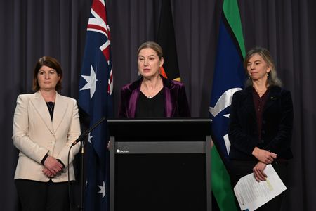 Australia confirms first H5N1 bird flu case in local seabird