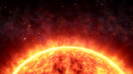 The world is sinking into the sixth extinction — we can either change now or get used to it