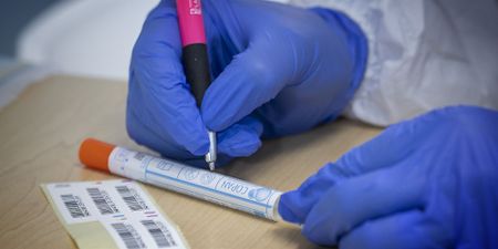 Western Cape records 36,000 confirmed Covid-19 cases as provincial health department appears before legislature 