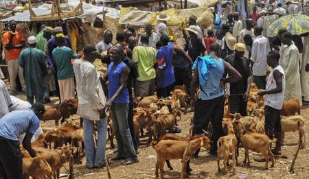 Just how hungry is north-eastern Nigeria?