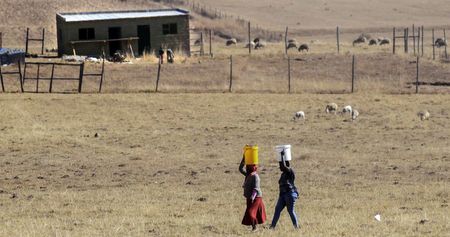 A helpline for women living in rural areas could assist those affected by gender-based violence